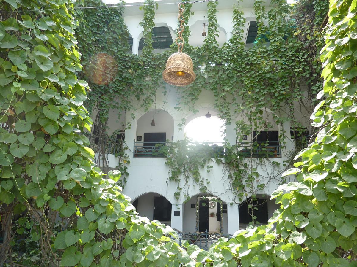 Inn Seventh Heaven Pushkar Luaran gambar